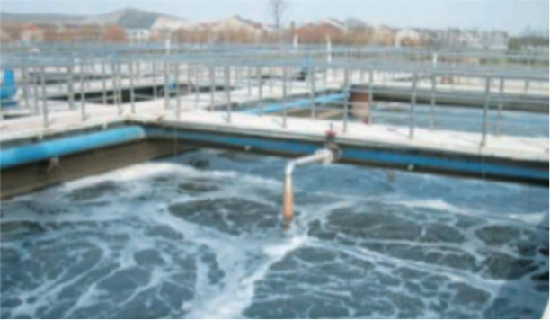 Tubus Difusores wastewater curationis plantae - causa 2