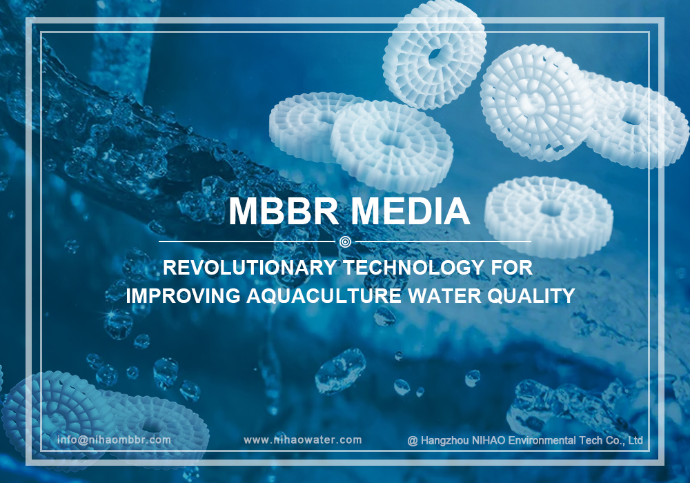 MBBR: Revolutionary Technology for Improving Aquaculture Aqua Quality